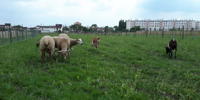 Derechos de autor Ferme De Gally 1