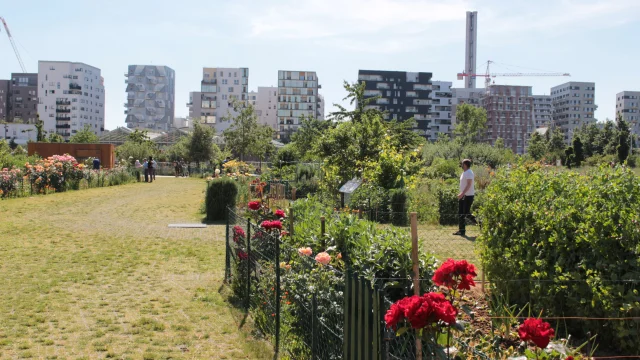 Jardins Dockscoti Plaine Commune